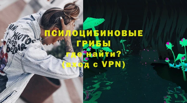 тгк Краснослободск