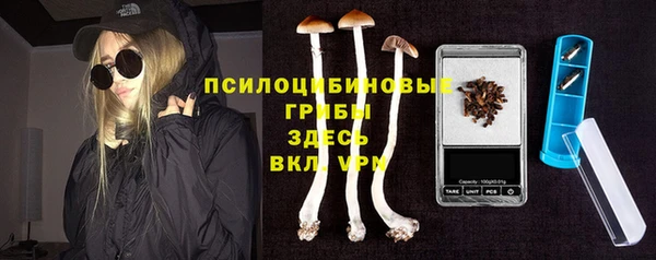 тгк Краснослободск